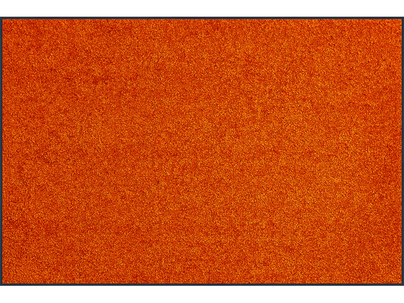 Trendcolour Burnt Orange wash + dry Matte