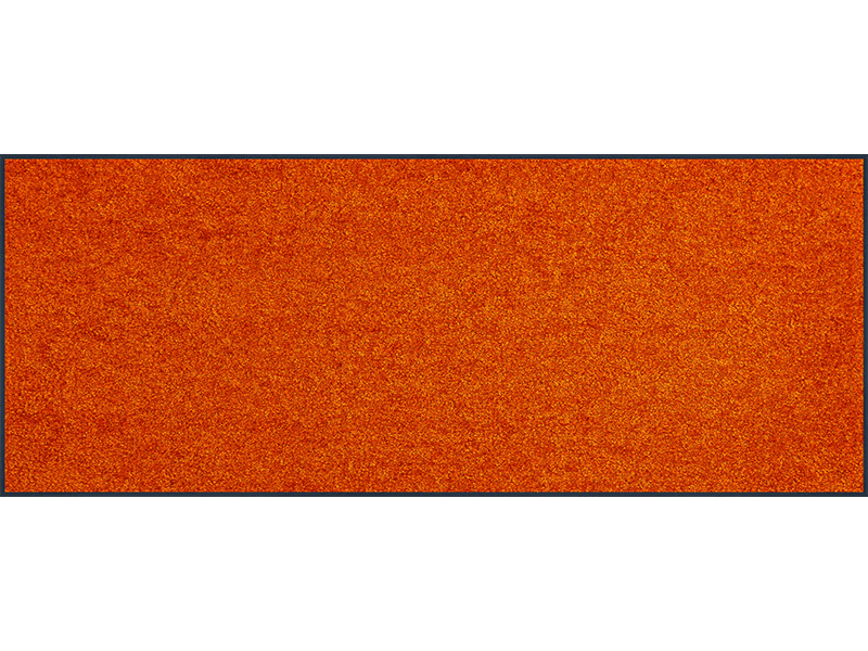 Trendcolour Burnt Orange wash + dry Matte