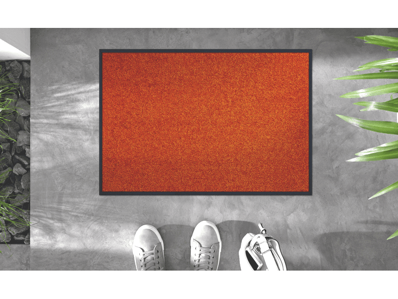 Trendcolour Burnt Orange wash + dry Matte