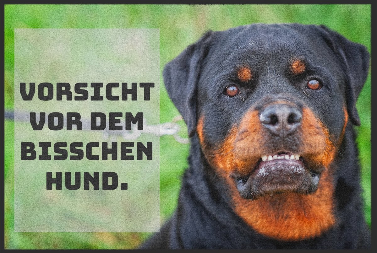Fussmatte 11274