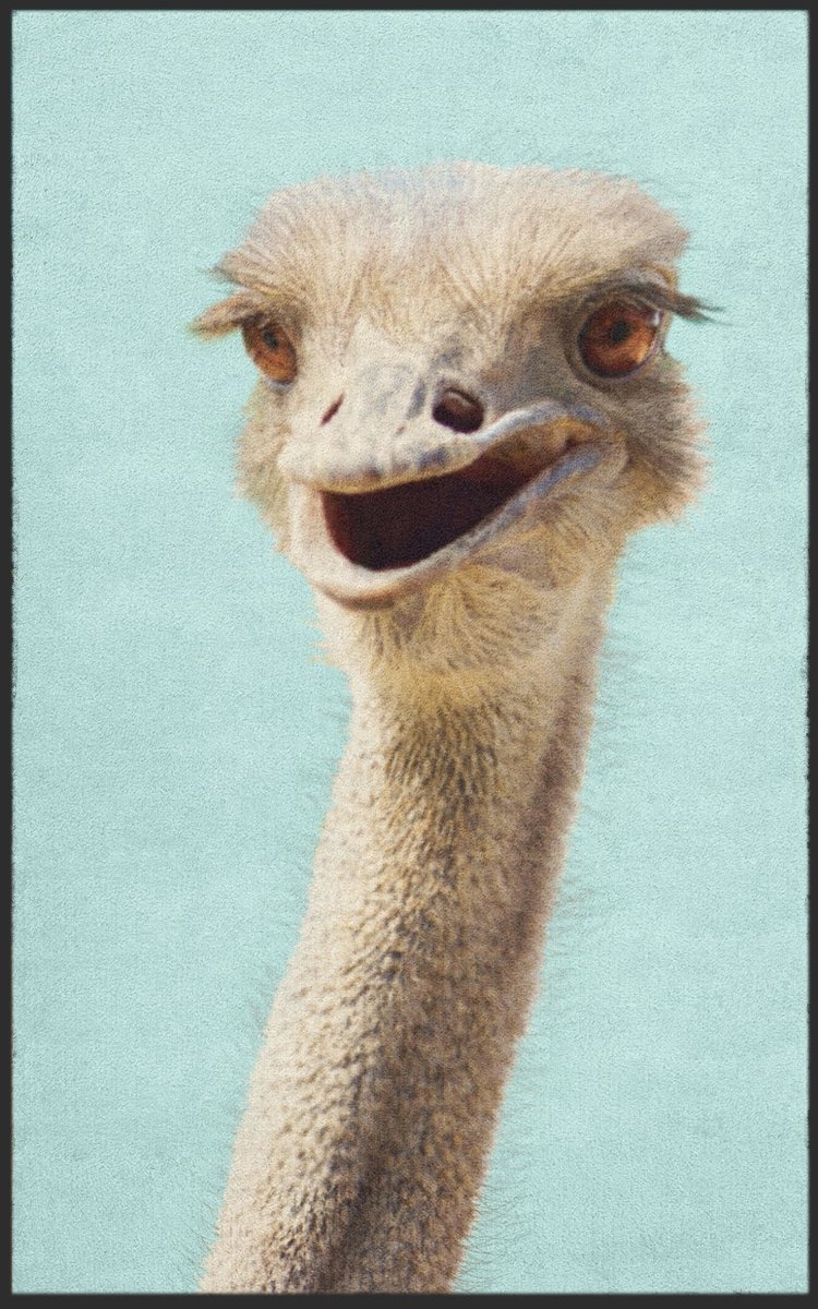 Fussmatte Strauß 7092