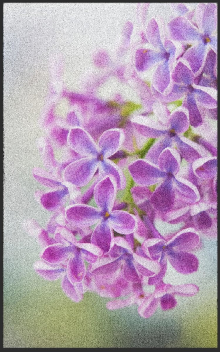 Fussmatte 7277