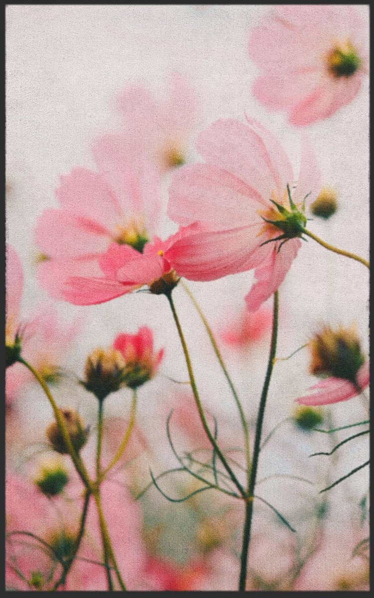 Fussmatte 7285