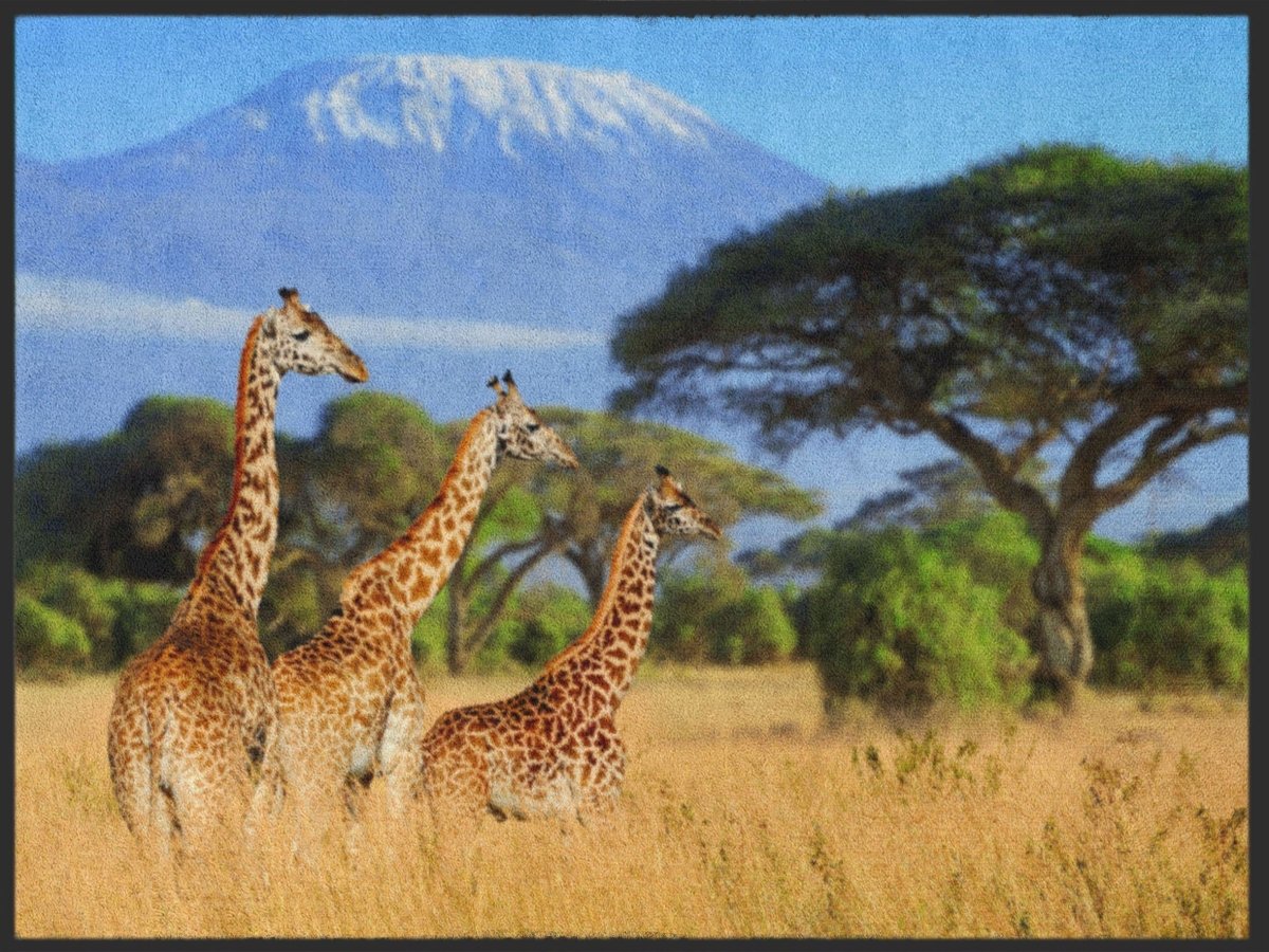 Fussmatte Afrika 4946
