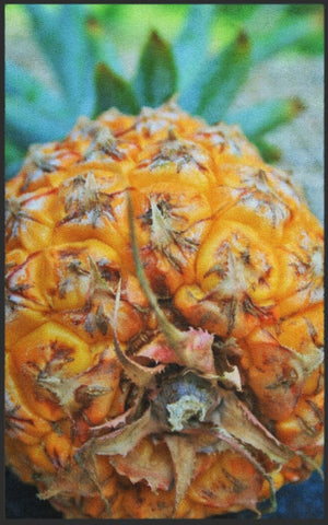 Bild in Slideshow öffnen, Fussmatte Ananas 7591 - Fussmatte Individuell
