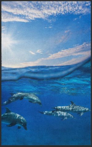 Bild in Slideshow öffnen, Fussmatte Delfin 7683 - Fussmatte Individuell
