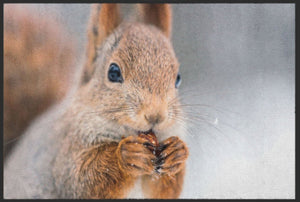 Bild in Slideshow öffnen, Fussmatte Eichhörnchen 4529 - Fussmatte Individuell
