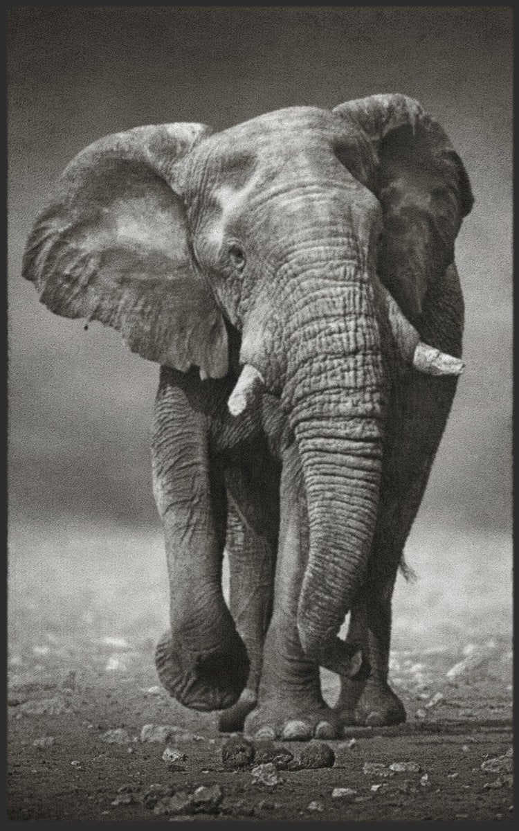 Fussmatte Elefant 7481