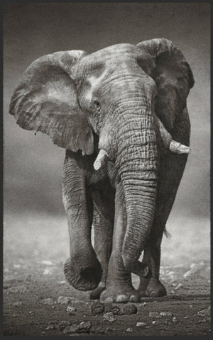 Bild in Slideshow öffnen, Fussmatte Elefant 7481 - Fussmatte Individuell
