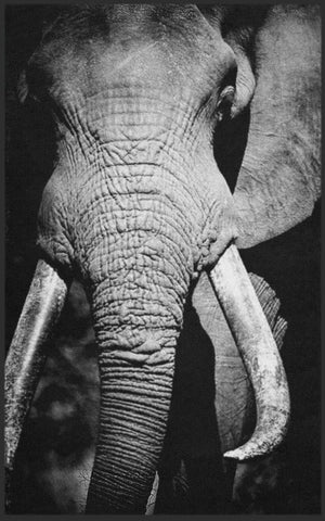 Bild in Slideshow öffnen, Fussmatte Elefant 7786 - Fussmatte Individuell
