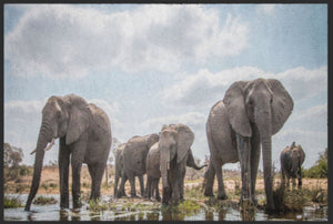 Bild in Slideshow öffnen, Fussmatte Elefanten 4518 - Fussmatte Individuell

