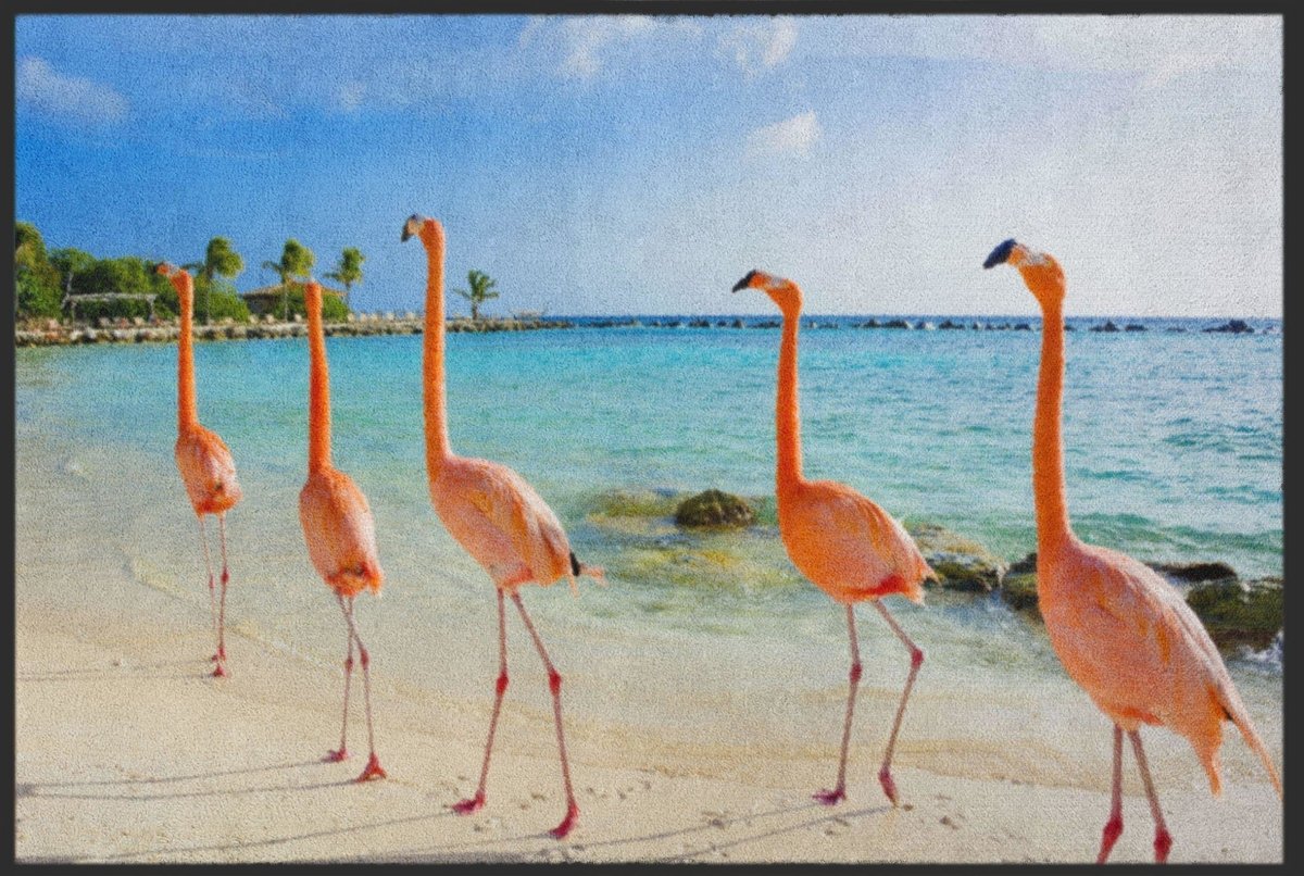 Fussmatte Flamingo 4528