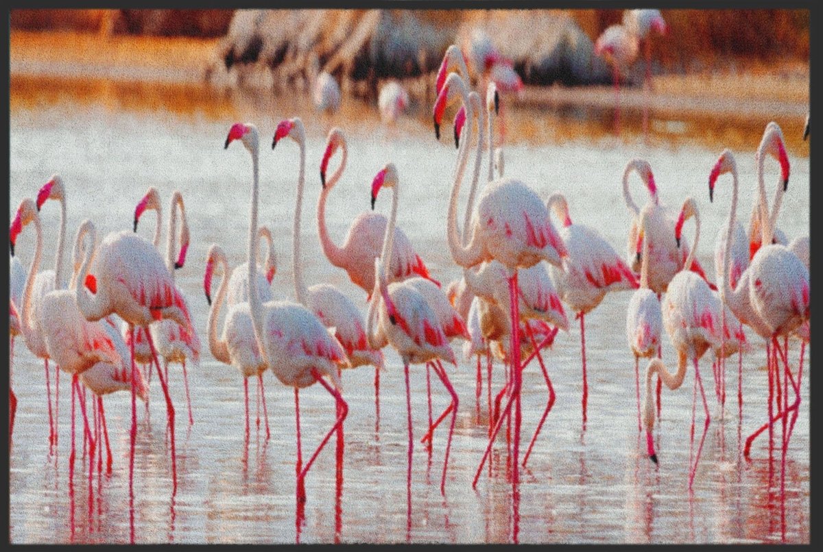 Fussmatte Flamingo 4821