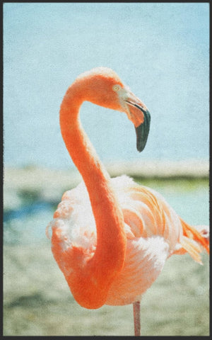 Bild in Slideshow öffnen, Fussmatte Flamingo 7780 - Fussmatte Individuell
