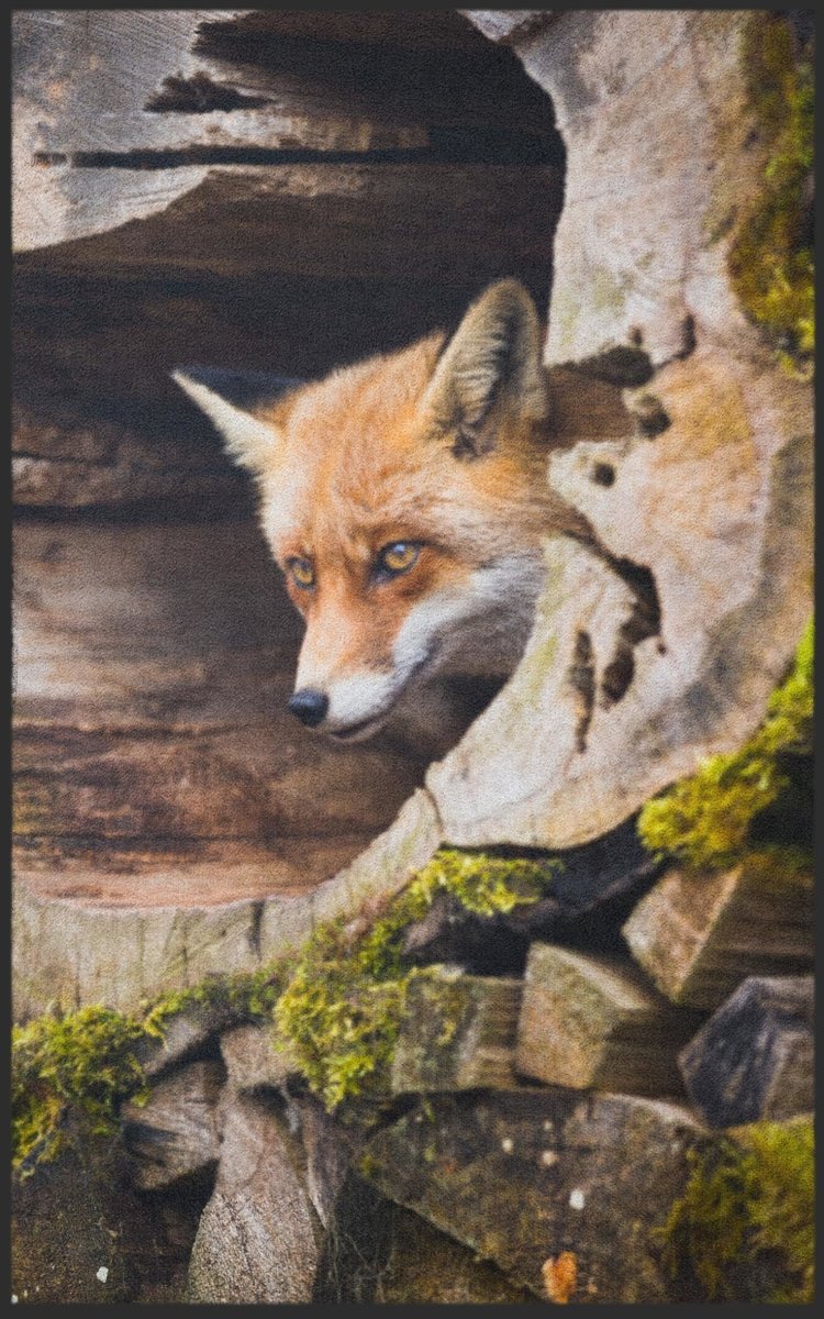 Fussmatte Fuchs 7755