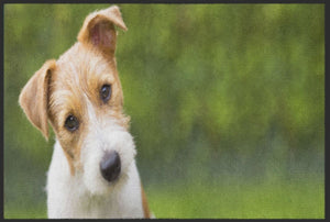 Bild in Slideshow öffnen, Fussmatte Hund 4541 - Fussmatte Individuell
