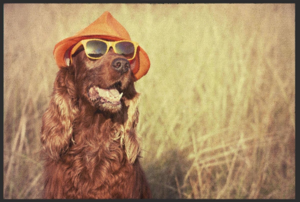 Fussmatte Hund 6079