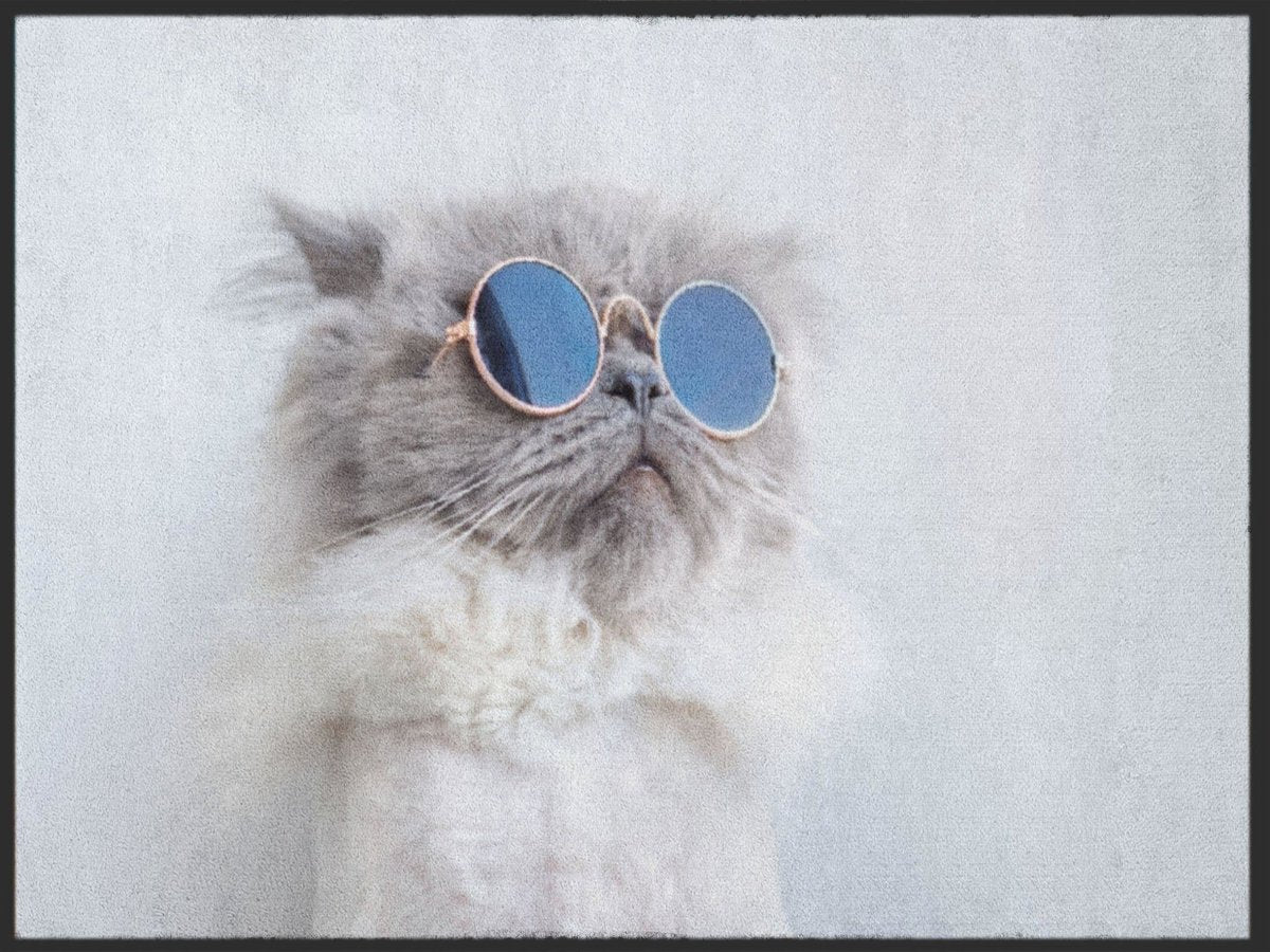 Fussmatte Katze 5001