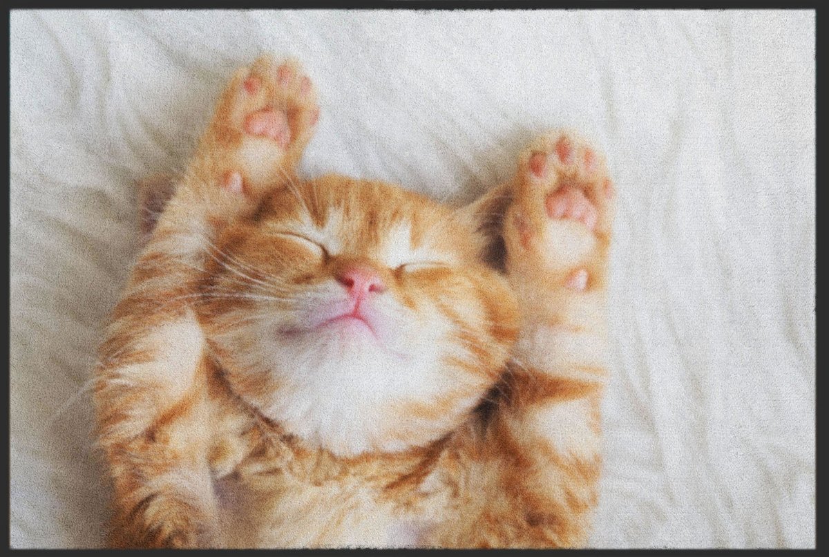 Fussmatte Katze 6068