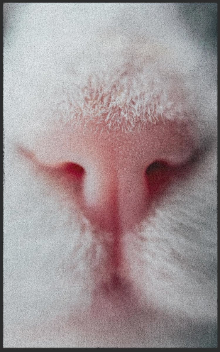 Fussmatte Katze 7633
