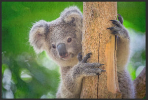 Bild in Slideshow öffnen, Fussmatte Koala 4516 - Fussmatte Individuell
