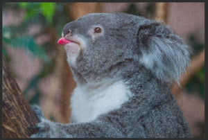 Bild in Slideshow öffnen, Fussmatte Koala 4813 - Fussmatte Individuell
