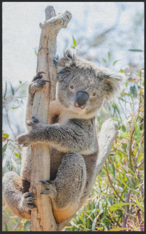 Bild in Slideshow öffnen, Fussmatte Koala 7596 - Fussmatte Individuell
