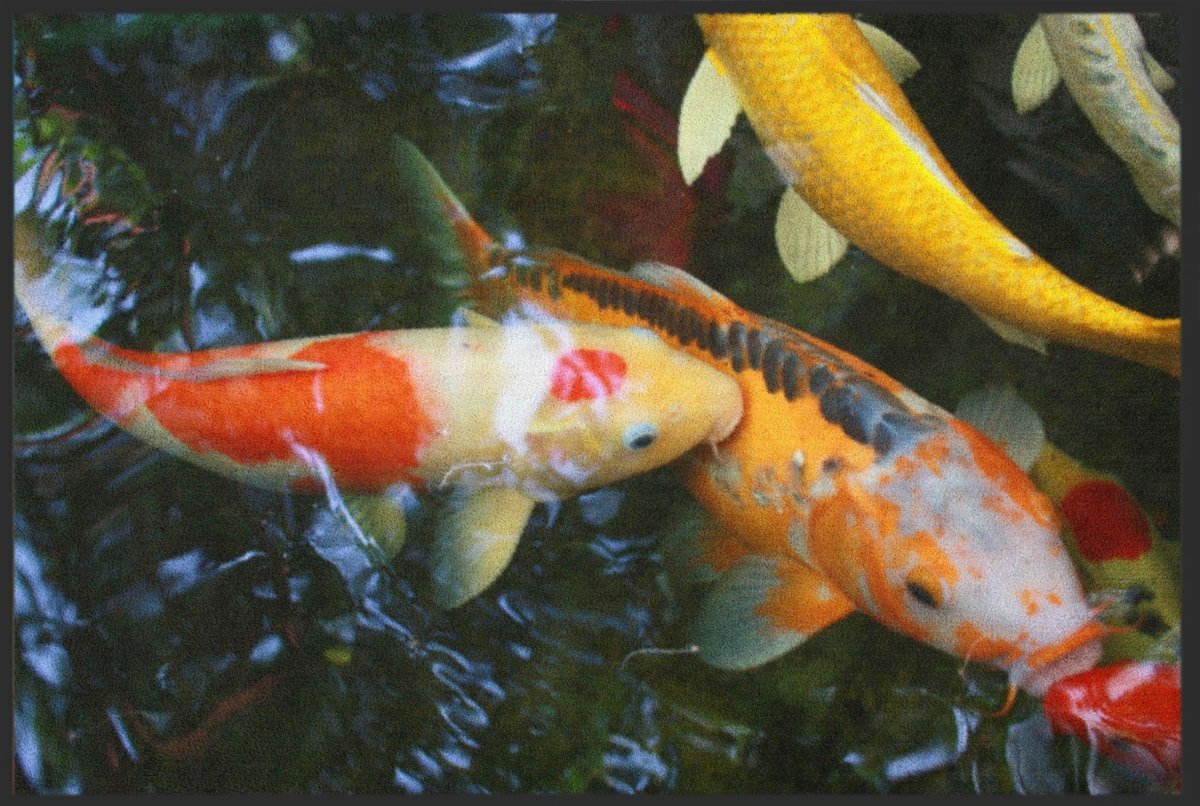 Fussmatte Koi 6098