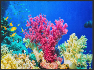 Bild in Slideshow öffnen, Fussmatte Koralle 4991 - Fussmatte Individuell
