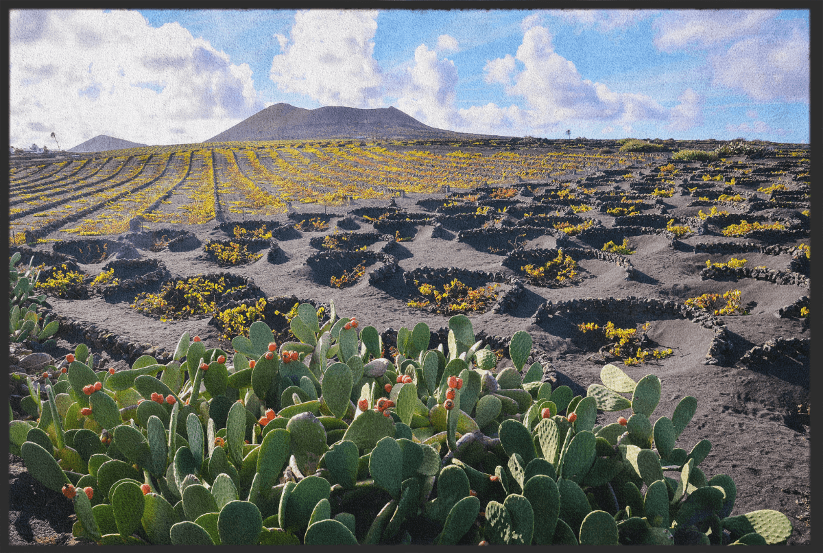 Fussmatte Lanzarote 10368