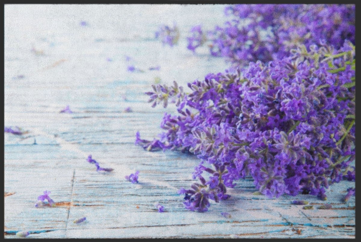 Fussmatte Lavendel 4611