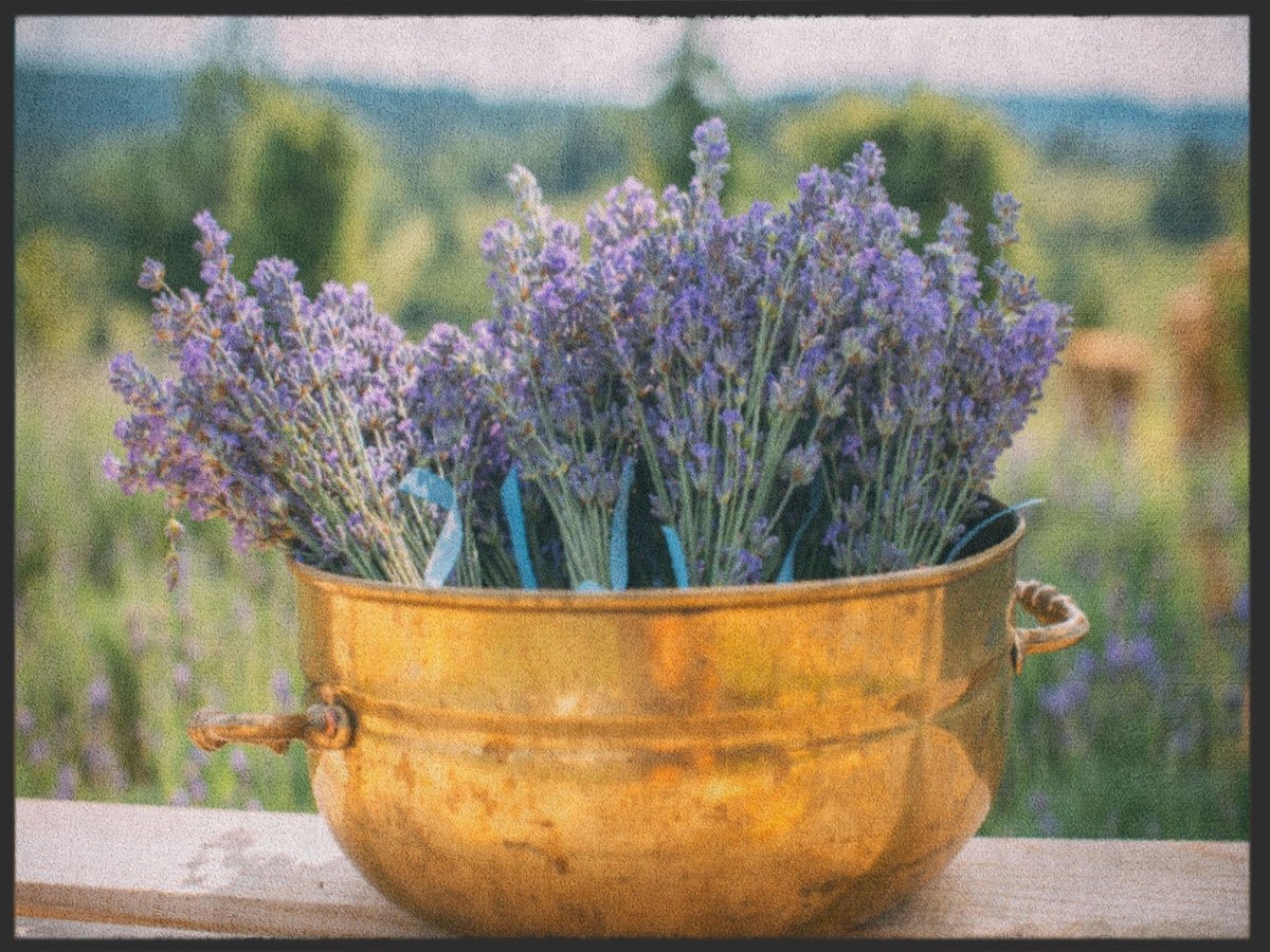 Fussmatte Lavendel 4958