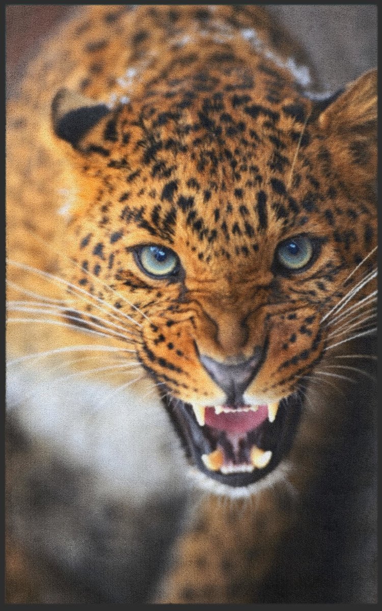 Fussmatte Leopard 7133