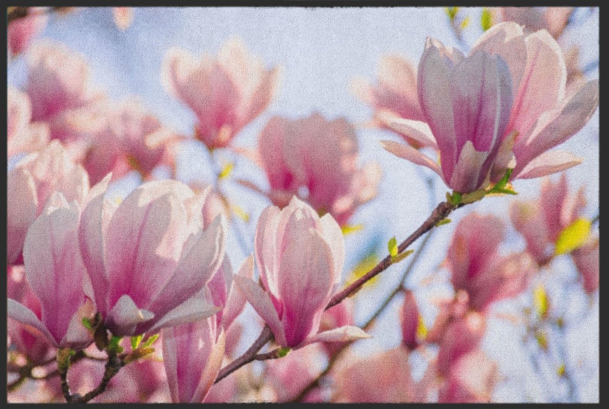 Fussmatte Magnolie 5084