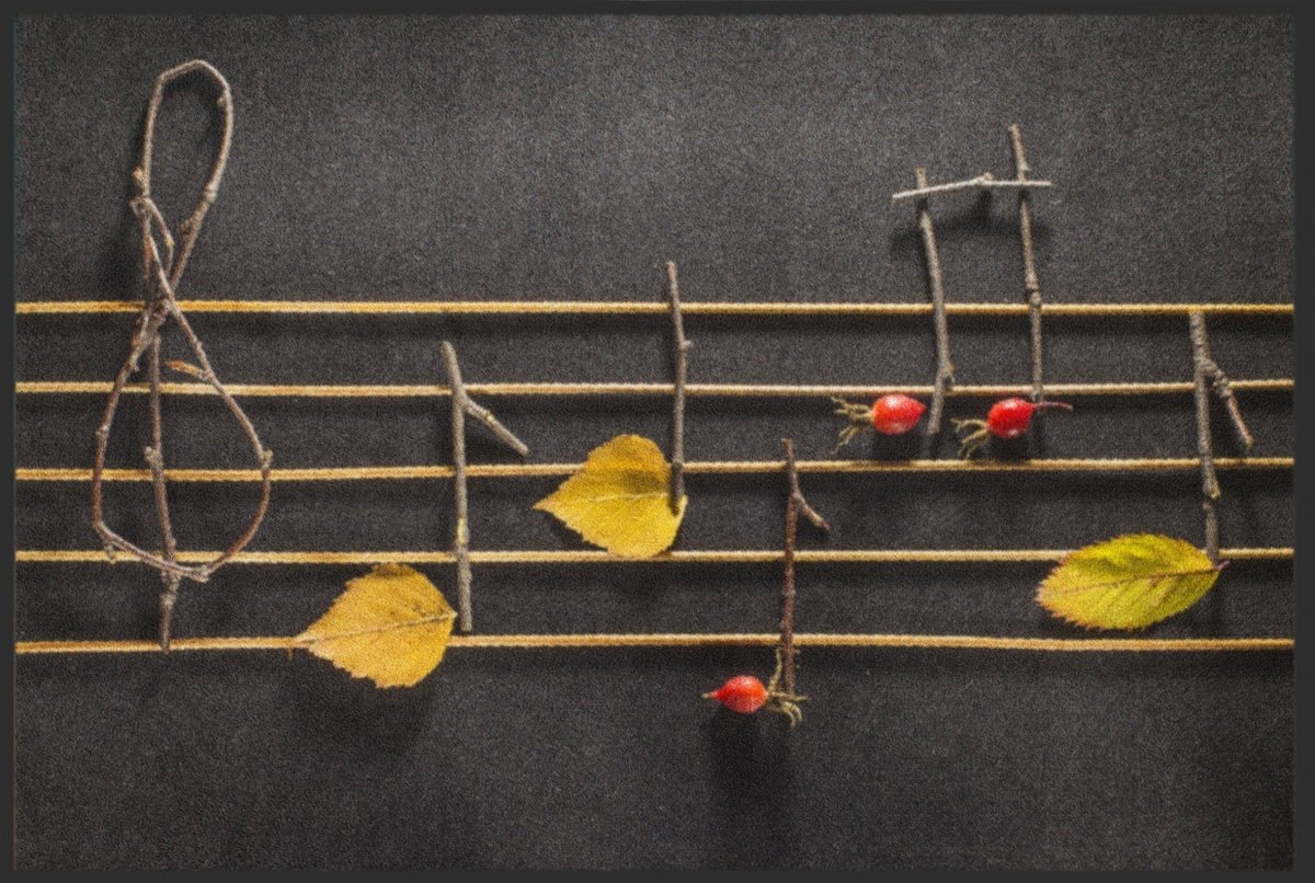 Fussmatte Musik 6333