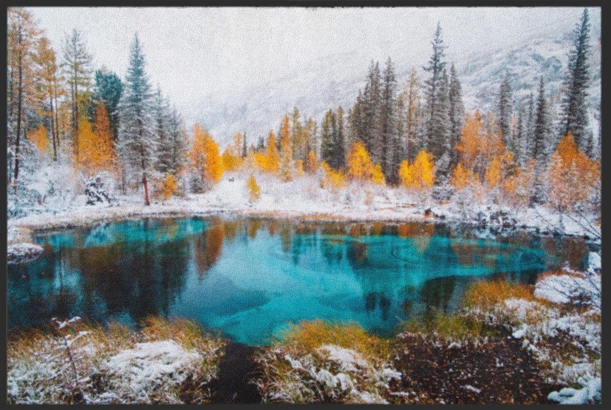 Fussmatte Natur 6339