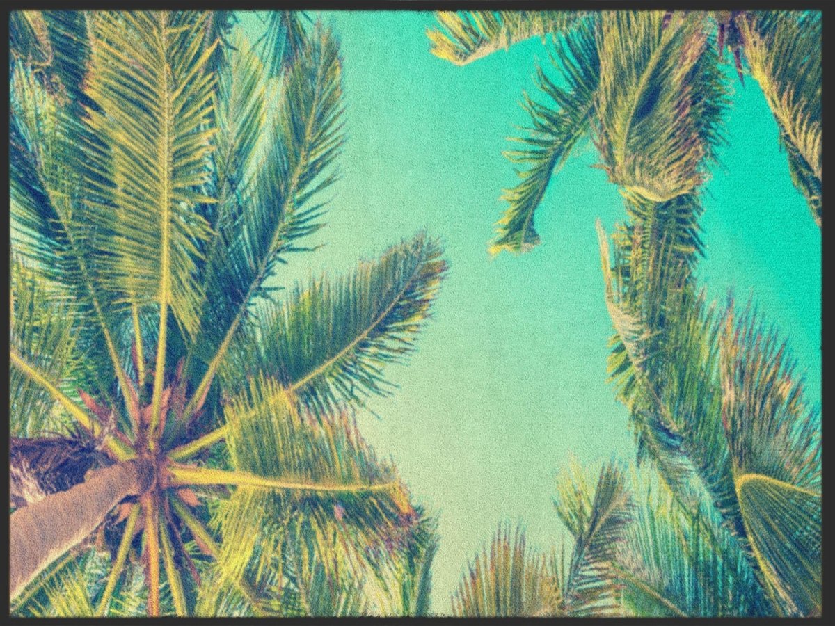 Fussmatte Palmen 4957