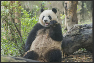 Fussmatte Pandabär 4526 - Fussmatte Individuell