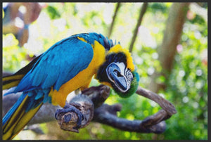 Bild in Slideshow öffnen, Fussmatte Papagai 4540 - Fussmatte Individuell
