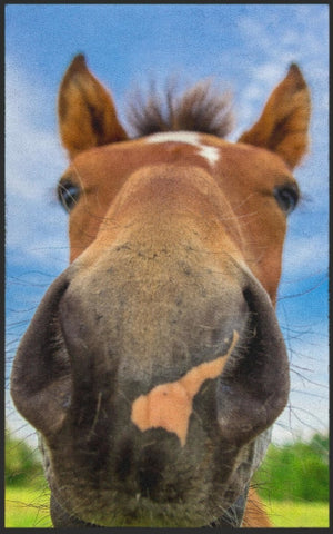 Bild in Slideshow öffnen, Fussmatte Pferd 7140 - Fussmatte Individuell
