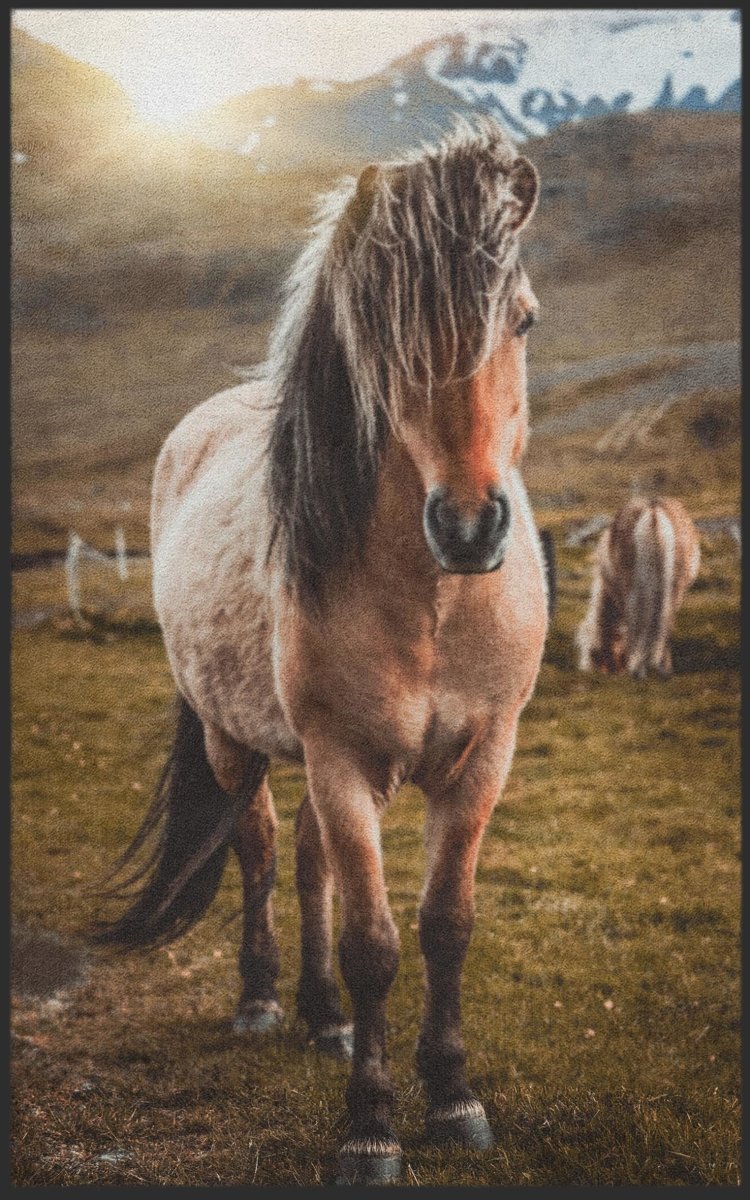 Fussmatte Pferd 7642