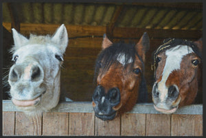 Bild in Slideshow öffnen, Fussmatte Pferde 4627 - Fussmatte Individuell

