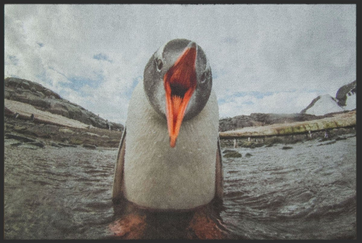 Fussmatte Pinguin 4810