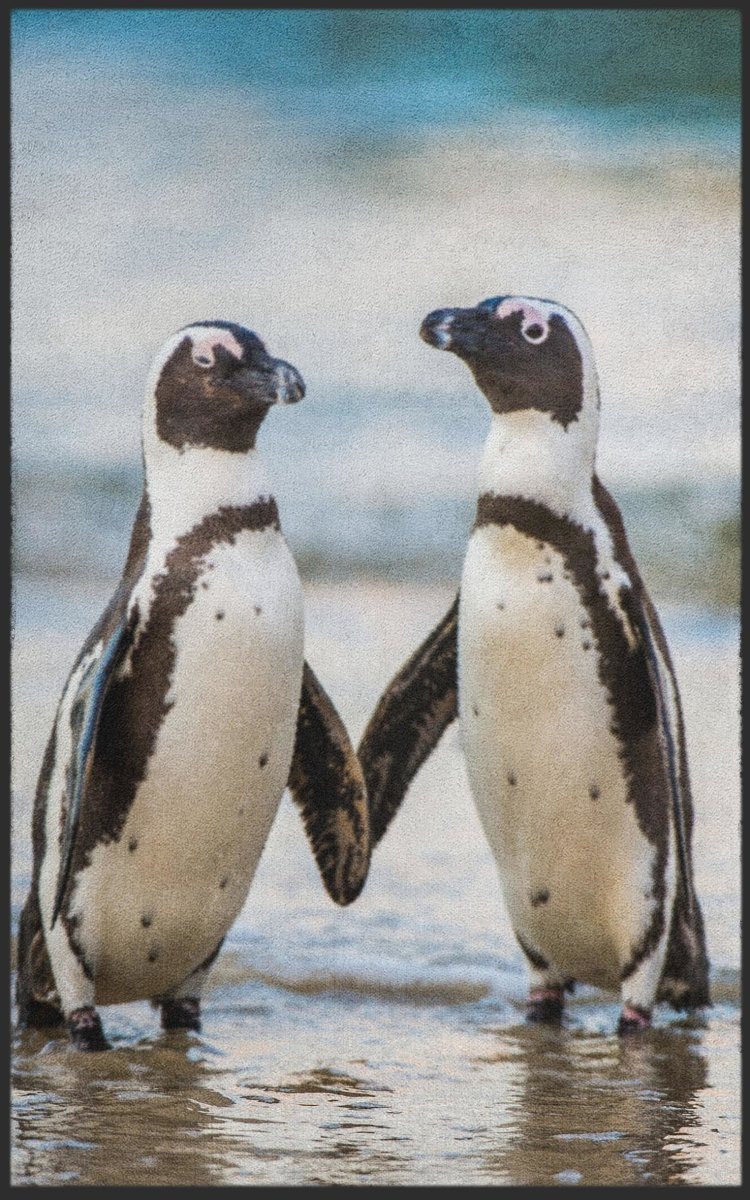 Fussmatte Pinguin 7773