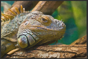 Bild in Slideshow öffnen, Fussmatte Reptil 6212 - Fussmatte Individuell

