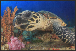 Bild in Slideshow öffnen, Fussmatte Schildkröte 6325 - Fussmatte Individuell
