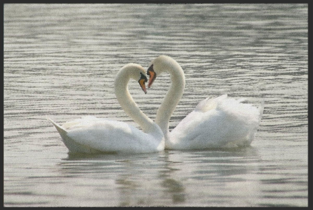 Fussmatte Schwan 4193