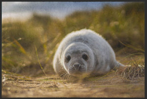 Bild in Slideshow öffnen, Fussmatte Seehund 6088 - Fussmatte Individuell
