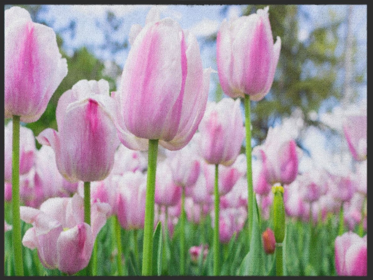 Fussmatte Tulpe 4985
