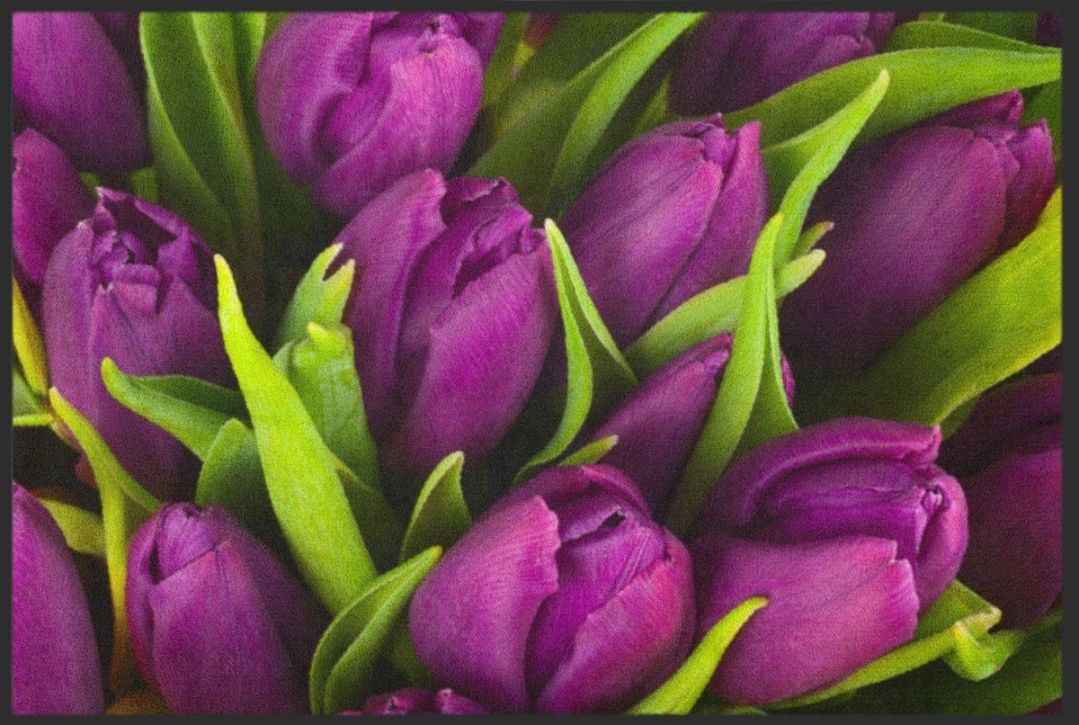 Fussmatte Tulpen 4638